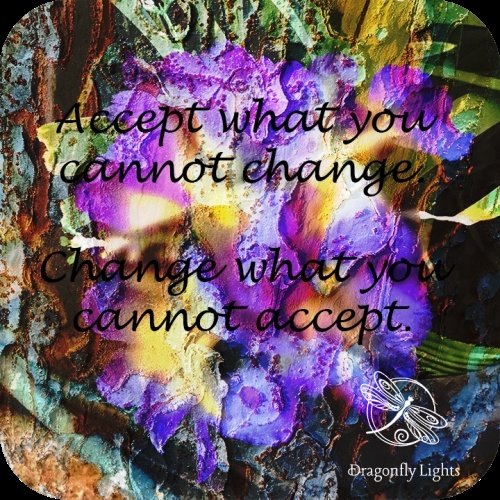 Accept what you cannot change