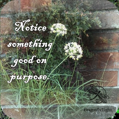 Notice Something Good On Purpose