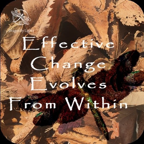 Effective Change Evolves From Within