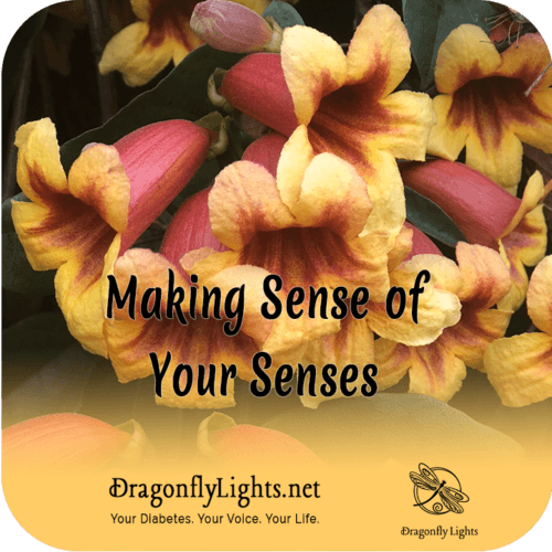 Making Sense of Your Senses