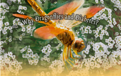 Why Dragonflies and Diabetes??