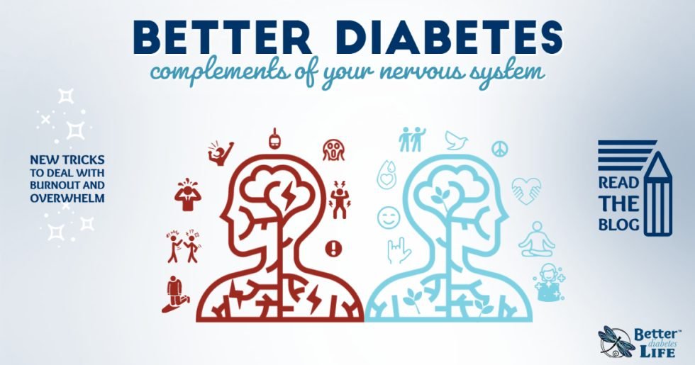 Better Diabetes Complements Of Your Nervous System | Better Diabetes Life